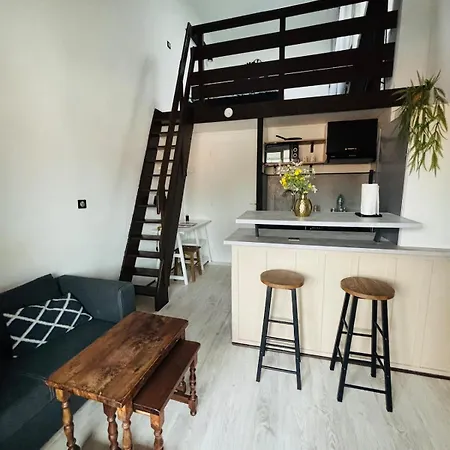 Duplex Proche Et Foret - Loggia - Parking 公寓