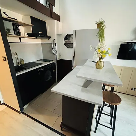 Duplex Proche Et Foret - Loggia - Parking 公寓 圣让-德蒙