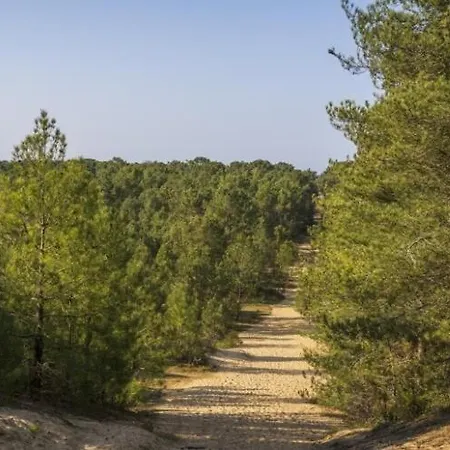 Duplex Proche Et Foret - Loggia - Parking 公寓 圣让-德蒙