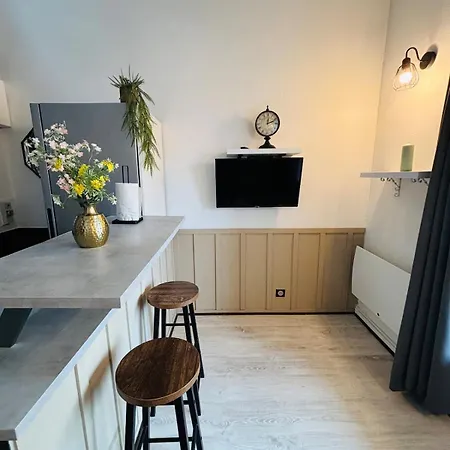 Duplex Proche Et Foret - Loggia - Parking 公寓 *